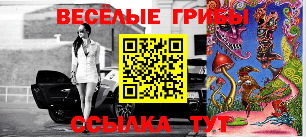 Псилоцибиновые грибы Psilocybine cubensis Гагарин