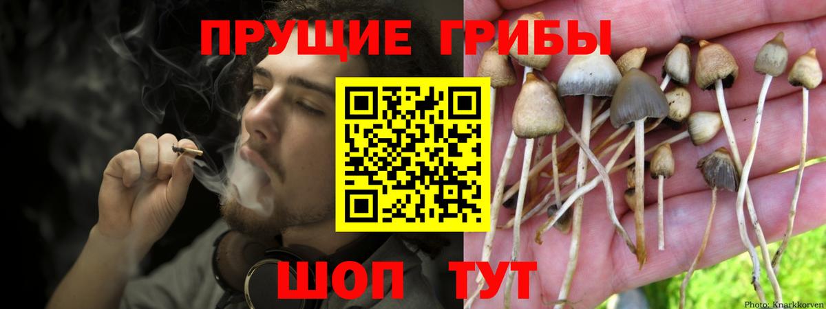 как найти закладки  Галлюциногенные грибы MAGIC MUSHROOMS  Гагарин  Вход с VPN  Псилоцибиновые грибы Cubensis 